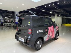 Geely Panda 210km Panda Kart - ფოტო 10
