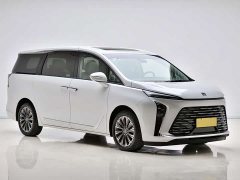Buick GL8 2025 Luzun Respect Edition - ფოტო 3