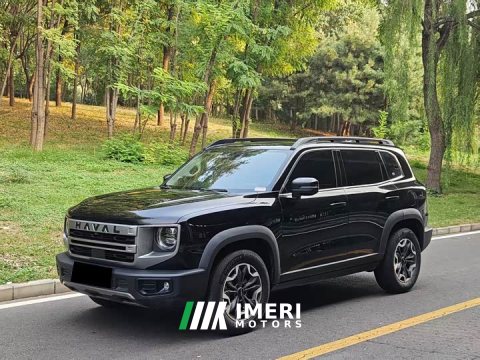2024 Great Wall Dachshund 2.0T DCT Chinese Rural Dog Edition - ავტომობილი ჩინეთიდან