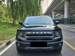 Great Wall Dachshund 2.0T DCT Chinese Rural Dog Edition - ფოტო 2