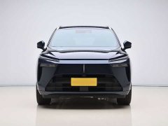 Great Wall WEY Blue Mountain Four-Wheel Drive Extended Range Version - ფოტო 2