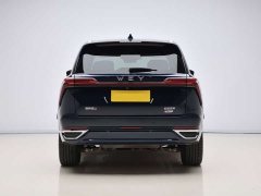 Great Wall WEY Blue Mountain Four-Wheel Drive Extended Range Version - ფოტო 5