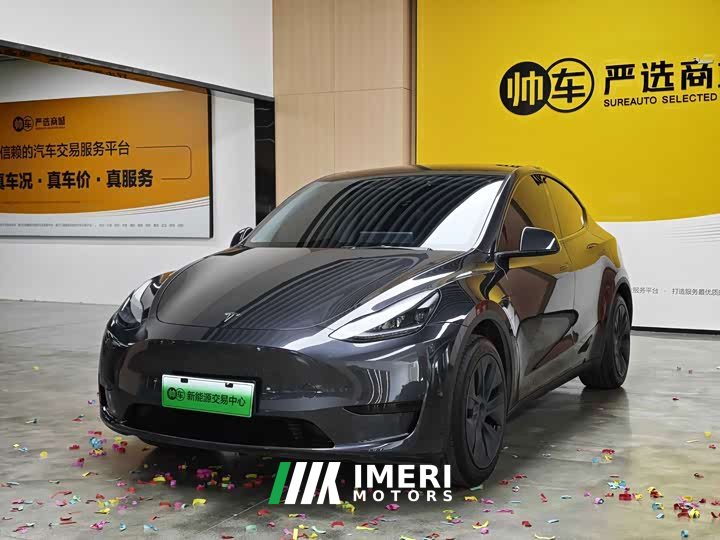 Tesla Model Y Rear-Wheel Drive