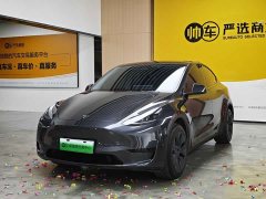 Tesla Model Y Rear-Wheel Drive - ფოტო 1