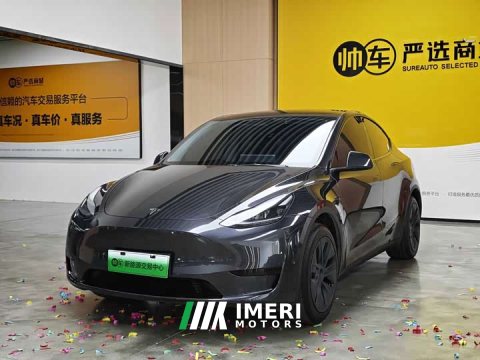 2024 Tesla Model Y Rear-Wheel Drive - ავტომობილი ჩინეთიდან