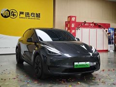 Tesla Model Y Rear-Wheel Drive - ფოტო 3