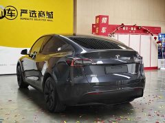 Tesla Model Y Rear-Wheel Drive - ფოტო 4