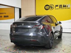 Tesla Model Y Rear-Wheel Drive - ფოტო 6