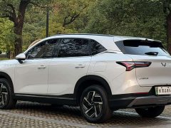 Wuling Xingguang S 2024 130km Pilot Edition - ფოტო 5