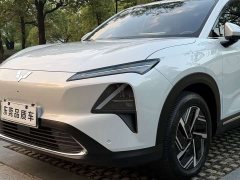 Wuling Xingguang S 2024 130km Pilot Edition - ფოტო 6
