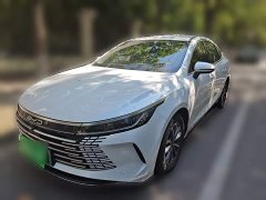 BYD Destroyer 05 Glory Edition DM-i 55KM Luxury - ფოტო 1
