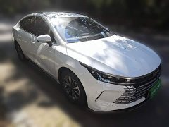 BYD Destroyer 05 Glory Edition DM-i 55KM Luxury - ფოტო 3