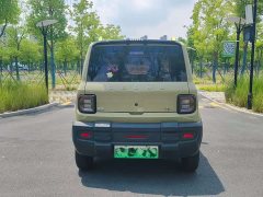 Geely Panda 200km Panda Knight - ფოტო 5