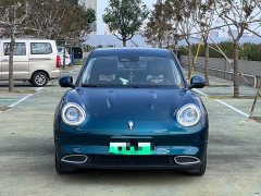 ORA Good Cat 400km Standard Range Luxury Lithium Iron Phosphate - ფოტო 2