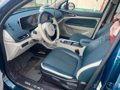 ORA Good Cat 400km Standard Range Luxury Lithium Iron Phosphate - ფოტო 8