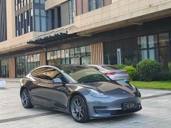 Tesla Model 3 2021 Standard Range RWD Upgrade 3D6 - ფოტო 1