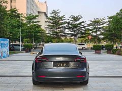 Tesla Model 3 2021 Standard Range RWD Upgrade 3D6 - ფოტო 14