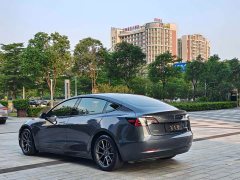 Tesla Model 3 2021 Standard Range RWD Upgrade 3D6 - ფოტო 15
