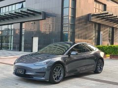 Tesla Model 3 2021 Standard Range RWD Upgrade 3D6 - ფოტო 2