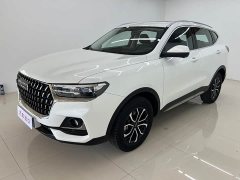 Haval H6 National Trend Edition 1.5T Automatic Urban Version - ფოტო 1