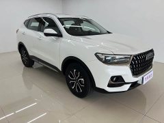 Haval H6 National Trend Edition 1.5T Automatic Urban Version - ფოტო 3