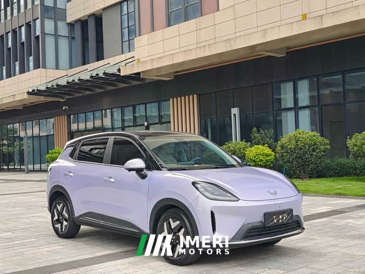 Wuling Bingo S 430km Flagship