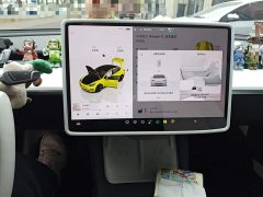Tesla Model 3 2022 Rear-Wheel Drive - ფოტო 12