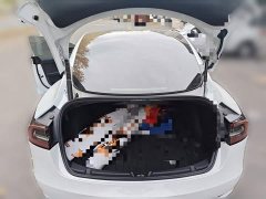 Tesla Model 3 2022 Rear-Wheel Drive - ფოტო 20