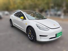 Tesla Model 3 2022 Rear-Wheel Drive - ფოტო 3