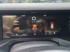 Tank 300 Off-Road Edition 2.0T Conqueror - ფოტო 14