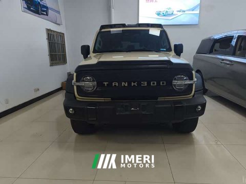 2021 Tank 300 Off-Road Edition 2.0T Conqueror - ავტომობილი ჩინეთიდან