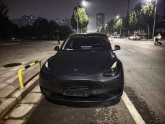 Tesla Model Y Rear-Wheel Drive - ფოტო 1