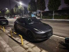 Tesla Model Y Rear-Wheel Drive - ფოტო 3