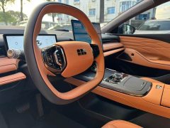 Geely Galaxy Xingyao 8 130km EM-i Flagship - ფოტო 5