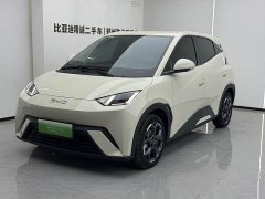 BYD Seagull 305km Freedom Edition - ფოტო 1
