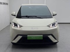 BYD Seagull 305km Freedom Edition - ფოტო 2