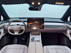 Nio Lerado L60 2024 60kWh Rear-Wheel Drive - ფოტო 11