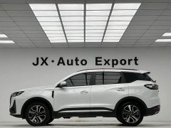 Chery Tiggo 7 PLUS 2023 Champion Edition 1.5TCI CVT Extraordinary Edition - ფოტო 19