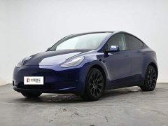 Tesla Model Y Long Range All-Wheel Drive 3D7 - ფოტო 1