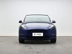 Tesla Model Y Long Range All-Wheel Drive 3D7 - ფოტო 2
