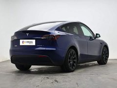 Tesla Model Y Long Range All-Wheel Drive 3D7 - ფოტო 3