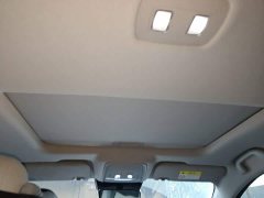 BYD Destroyer 05 DM-i 55KM Luxury - ფოტო 19