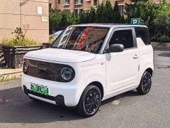 Geely Panda Mini 200km Endurance Edition - ფოტო 1