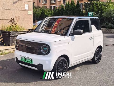 2024 Geely Panda Mini 200km Endurance Edition - ავტომობილი ჩინეთიდან