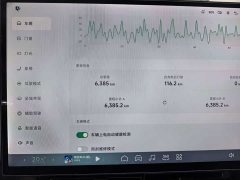 Xpeng P7 2024 Long Range Max - ფოტო 10