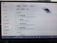 Xpeng P7 2024 Long Range Max - ფოტო 11