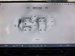 Xpeng P7 2024 Long Range Max - ფოტო 12
