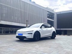 Tesla Model Y Long Range All-Wheel Drive - ფოტო 1
