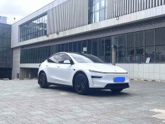 Tesla Model Y Long Range All-Wheel Drive - ფოტო 3