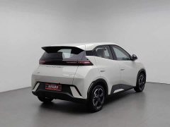 BYD Seagull Freedom Edition - ფოტო 2